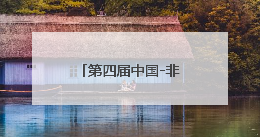 第四届中国-非洲经贸博览会迎来公众开放日