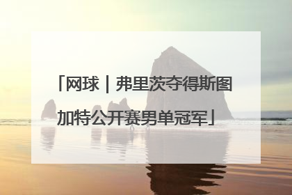 网球｜弗里茨夺得斯图加特公开赛男单冠军