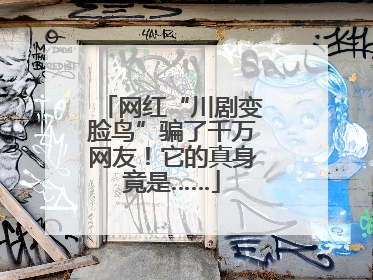 网红“川剧变脸鸟”骗了千万网友！它的真身竟是……