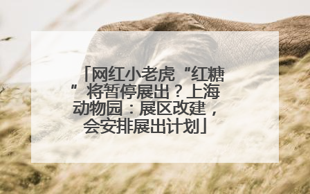 网红小老虎“红糖”将暂停展出？上海动物园：展区改建，会安排展出计划