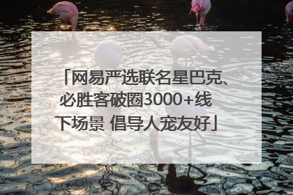 网易严选联名星巴克、必胜客破圈3000+线下场景 倡导人宠友好