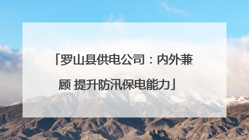 罗山县供电公司：内外兼顾 提升防汛保电能力