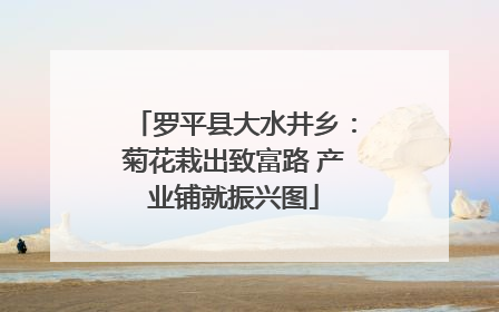 罗平县大水井乡：菊花栽出致富路 产业铺就振兴图