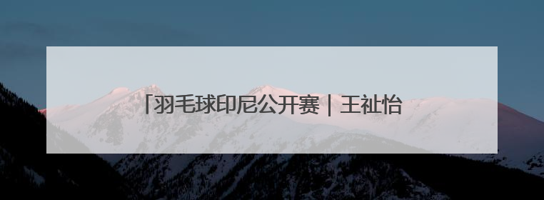 羽毛球印尼公开赛｜王祉怡不敌安洗莹 获得女单亚军