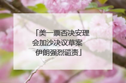 美一票否决安理会加沙决议草案 伊朗强烈谴责