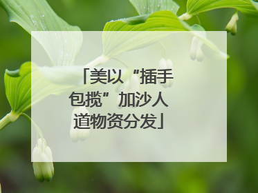 美以“插手包揽”加沙人道物资分发