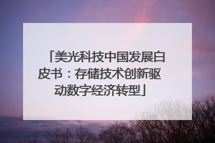美光科技中国发展白皮书：存储技术创新驱动数字经济转型