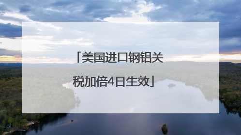 美国进口钢铝关税加倍4日生效