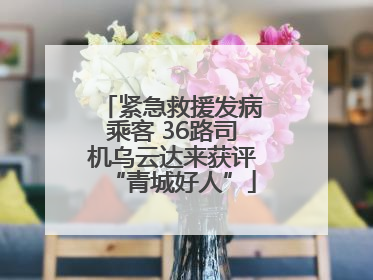 紧急救援发病乘客 36路司机乌云达来获评“青城好人”