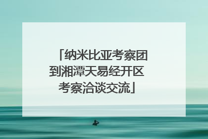 纳米比亚考察团到湘潭天易经开区考察洽谈交流