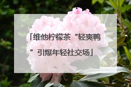 维他柠檬茶“轻爽鸭”引爆年轻社交场