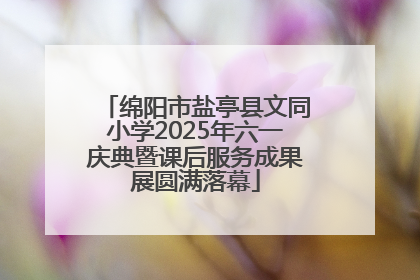 绵阳市盐亭县文同小学2025年六一庆典暨课后服务成果展圆满落幕