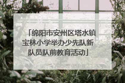 绵阳市安州区塔水镇宝林小学举办少先队新队员队前教育活动