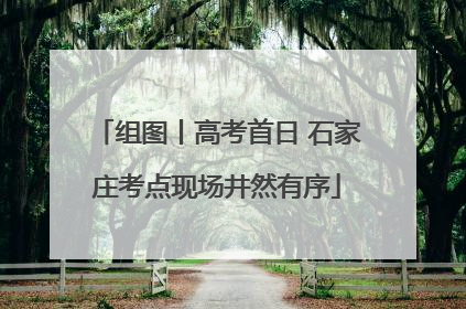 组图丨高考首日 石家庄考点现场井然有序