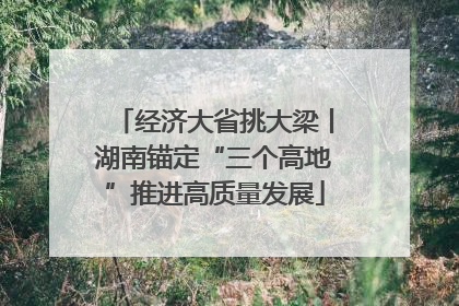 经济大省挑大梁丨湖南锚定“三个高地”推进高质量发展