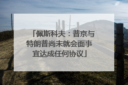 佩斯科夫：普京与特朗普尚未就会面事宜达成任何协议