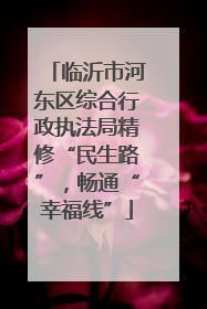 临沂市河东区综合行政执法局精修“民生路”，畅通“幸福线”