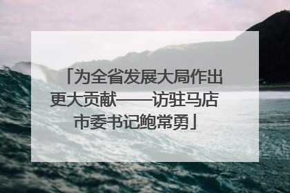 为全省发展大局作出更大贡献——访驻马店市委书记鲍常勇
