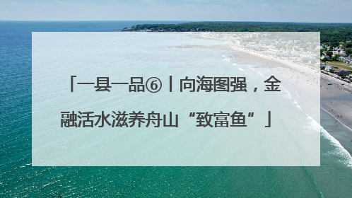 一县一品⑥丨向海图强，金融活水滋养舟山“致富鱼”