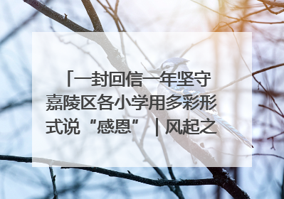 一封回信一年坚守 嘉陵区各小学用多彩形式说“感恩”｜风起之江 扶摇直上