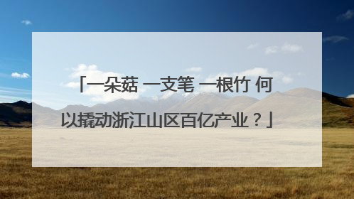 一朵菇 一支笔 一根竹 何以撬动浙江山区百亿产业？