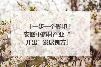 一步一个脚印！安图中药材产业“开出”发展良方