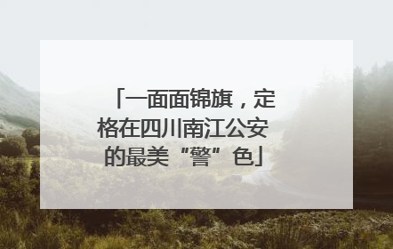 一面面锦旗，定格在四川南江公安的最美“警”色