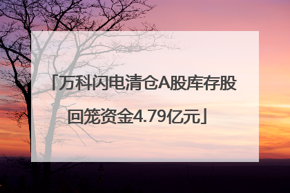 万科闪电清仓A股库存股 回笼资金4.79亿元