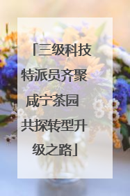 三级科技特派员齐聚咸宁茶园 共探转型升级之路