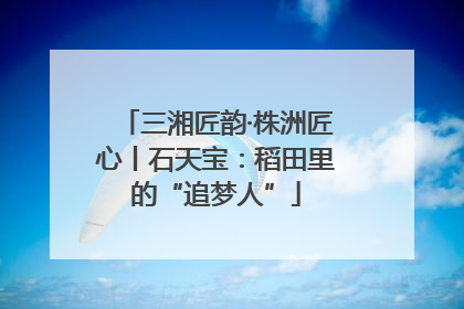 三湘匠韵·株洲匠心丨石天宝：稻田里的“追梦人”