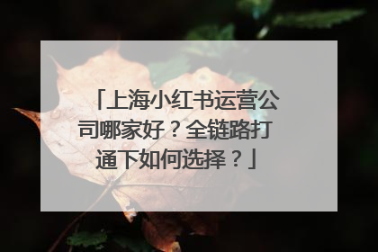 上海小红书运营公司哪家好？全链路打通下如何选择？