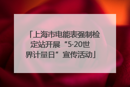 上海市电能表强制检定站开展“5·20世界计量日”宣传活动