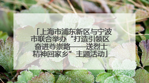 上海市浦东新区与宁波市联合举办“打造引领区 奋进尊崇路——送烈士精神回家乡”主题活动