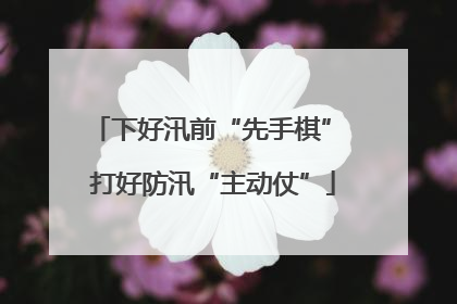 下好汛前“先手棋” 打好防汛“主动仗”