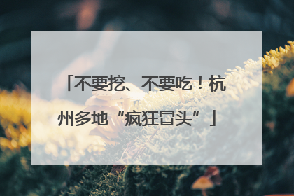 不要挖、不要吃！杭州多地“疯狂冒头”