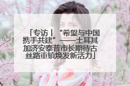 专访丨“希望与中国携手共建”——土耳其加济安泰普市长期待古丝路重镇焕发新活力