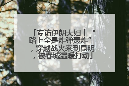 专访伊朗夫妇丨“路上全是炸弹轰炸”，穿越战火来到昆明，被春城温暖打动