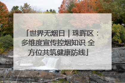 世界无烟日｜珠晖区：多维度宣传控烟知识 全方位共筑健康防线