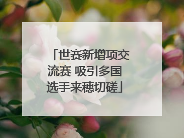 世赛新增项交流赛 吸引多国选手来穗切磋