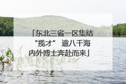 东北三省一区集结“揽才” 逾八千海内外博士奔赴而来