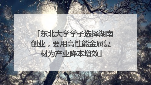 东北大学学子选择湖南创业，要用高性能金属复材为产业降本增效