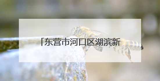 东营市河口区湖滨新区幼儿园：童耕“棉”田 “花”开成长