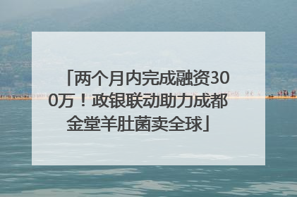两个月内完成融资300万！政银联动助力成都金堂羊肚菌卖全球