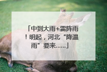 中到大雨+雷阵雨！明起，河北“降温雨”要来……
