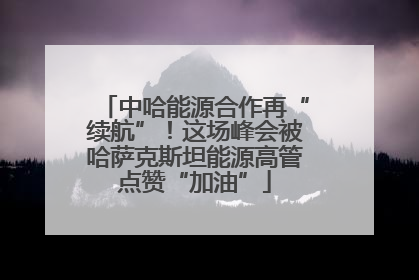 中哈能源合作再“续航”！这场峰会被哈萨克斯坦能源高管点赞“加油”
