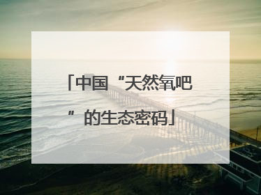 中国“天然氧吧”的生态密码