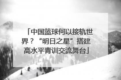 中国篮球何以接轨世界？“明日之星”搭建高水平青训交流舞台