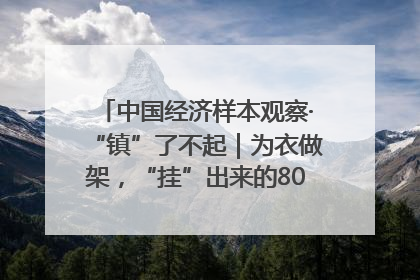 中国经济样本观察·“镇”了不起｜为衣做架，“挂”出来的80亿元“衣架产业”