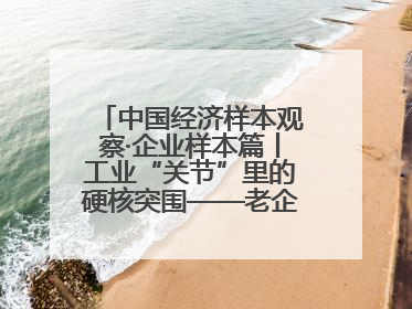 中国经济样本观察·企业样本篇丨工业“关节”里的硬核突围——老企业洛轴创新蝶变启示录
