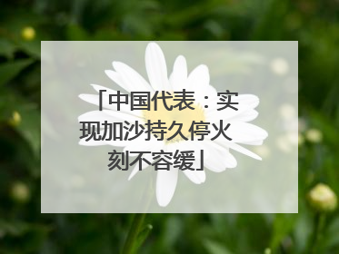 中国代表：实现加沙持久停火刻不容缓